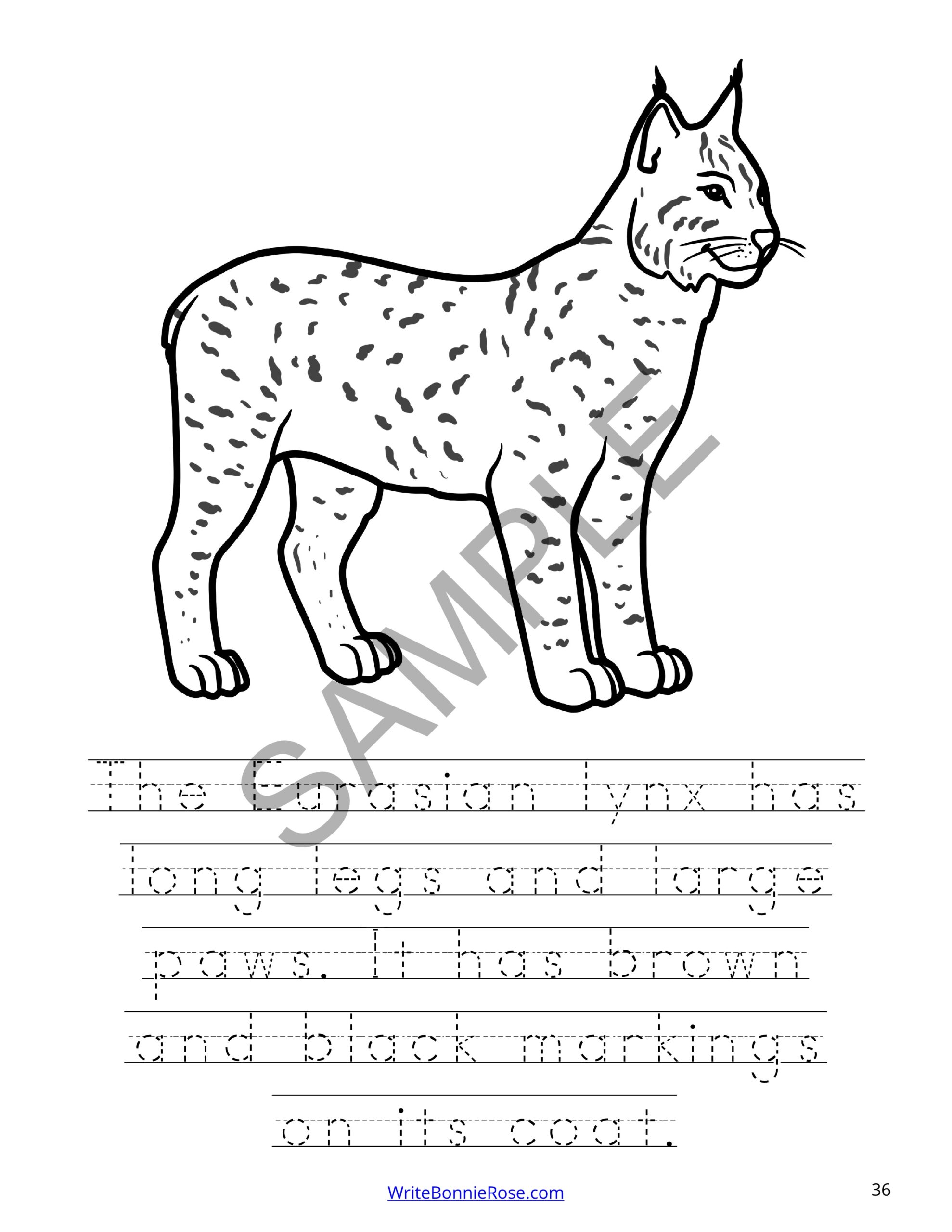 31 Wild Cat Coloring Pages Printable 28