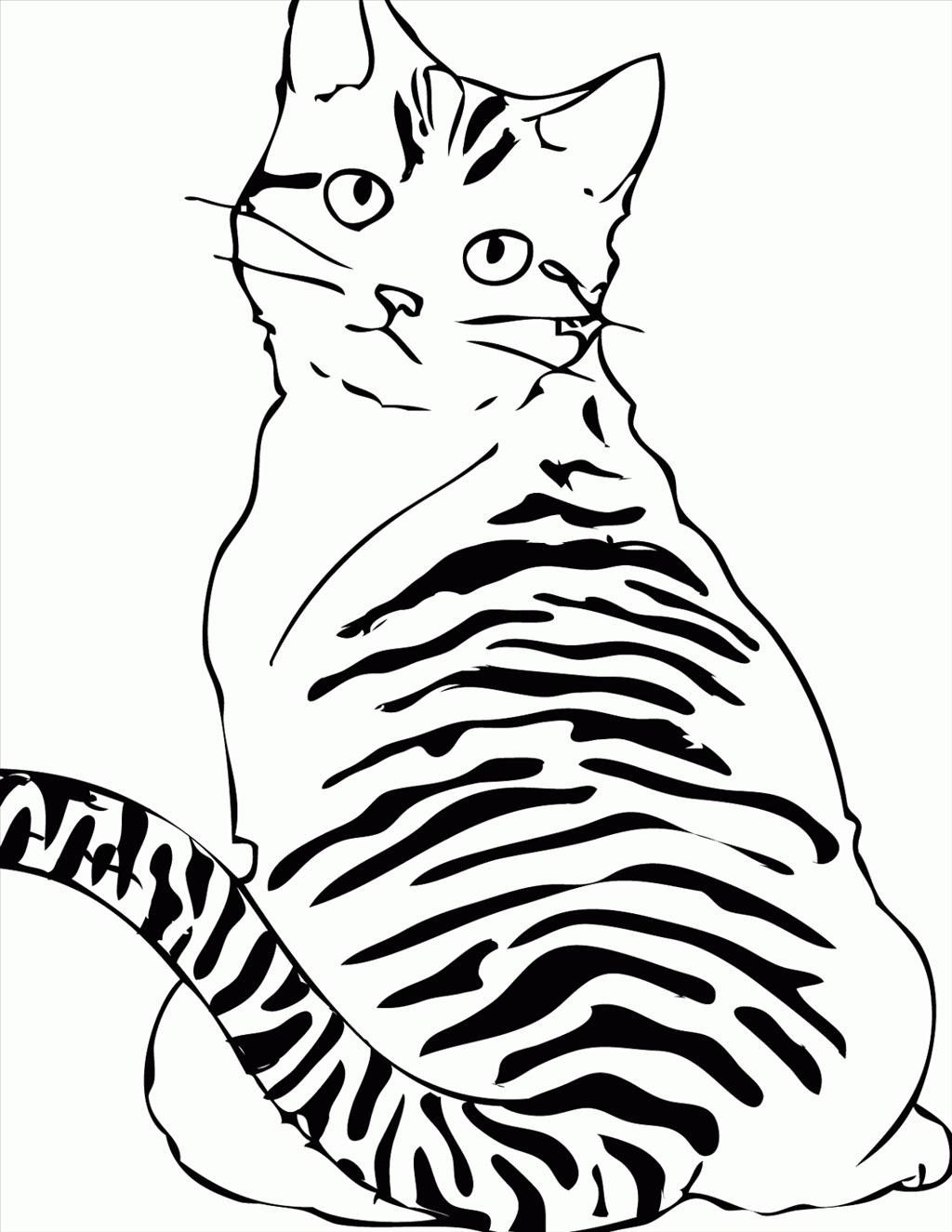 31 Wild Cat Coloring Pages Printable 31