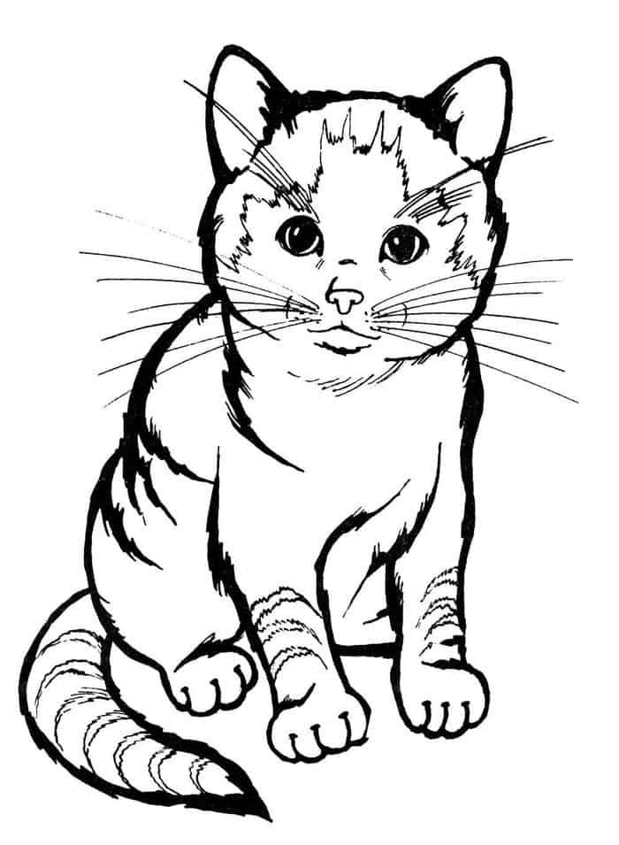 31 Wild Cat Coloring Pages Printable 32