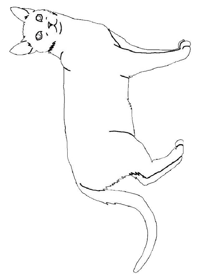 31 Wild Cat Coloring Pages Printable 34