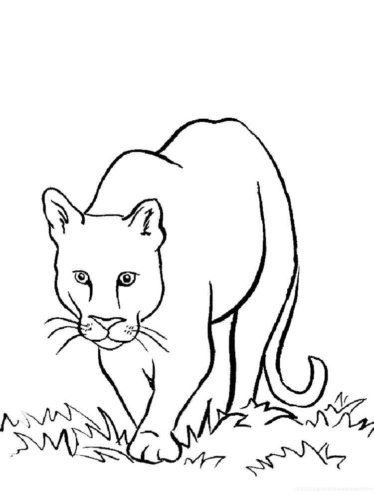 31 Wild Cat Coloring Pages Printable 4