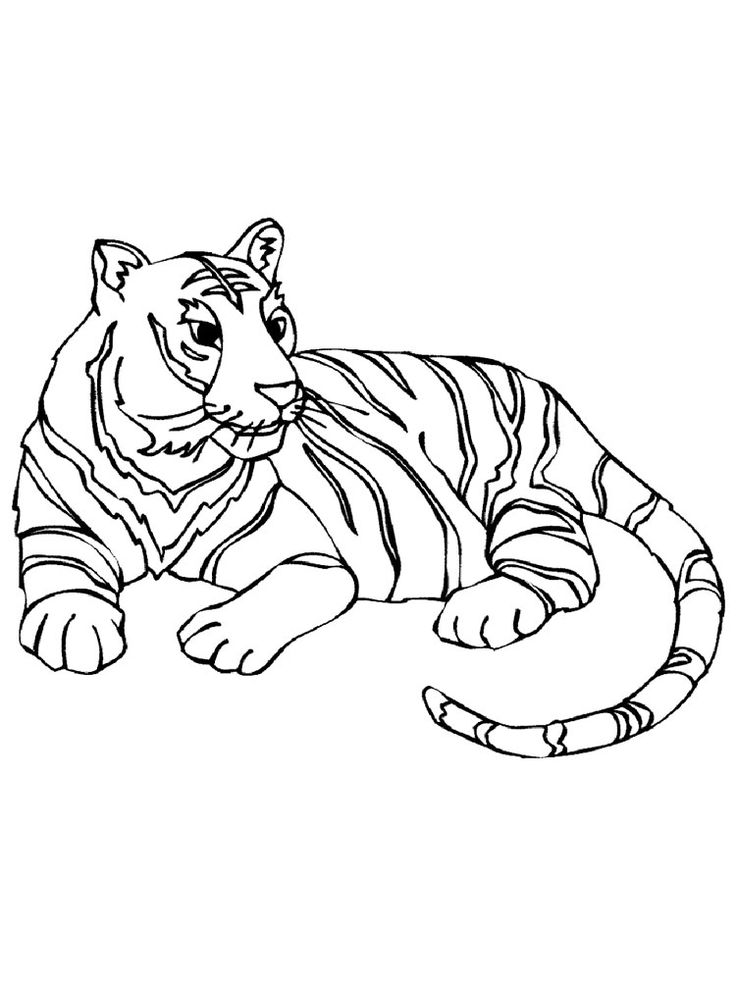 31 Wild Cat Coloring Pages Printable 8