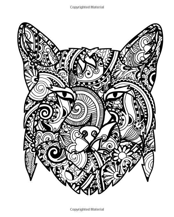 31 Wild Cat Coloring Pages Printable 9