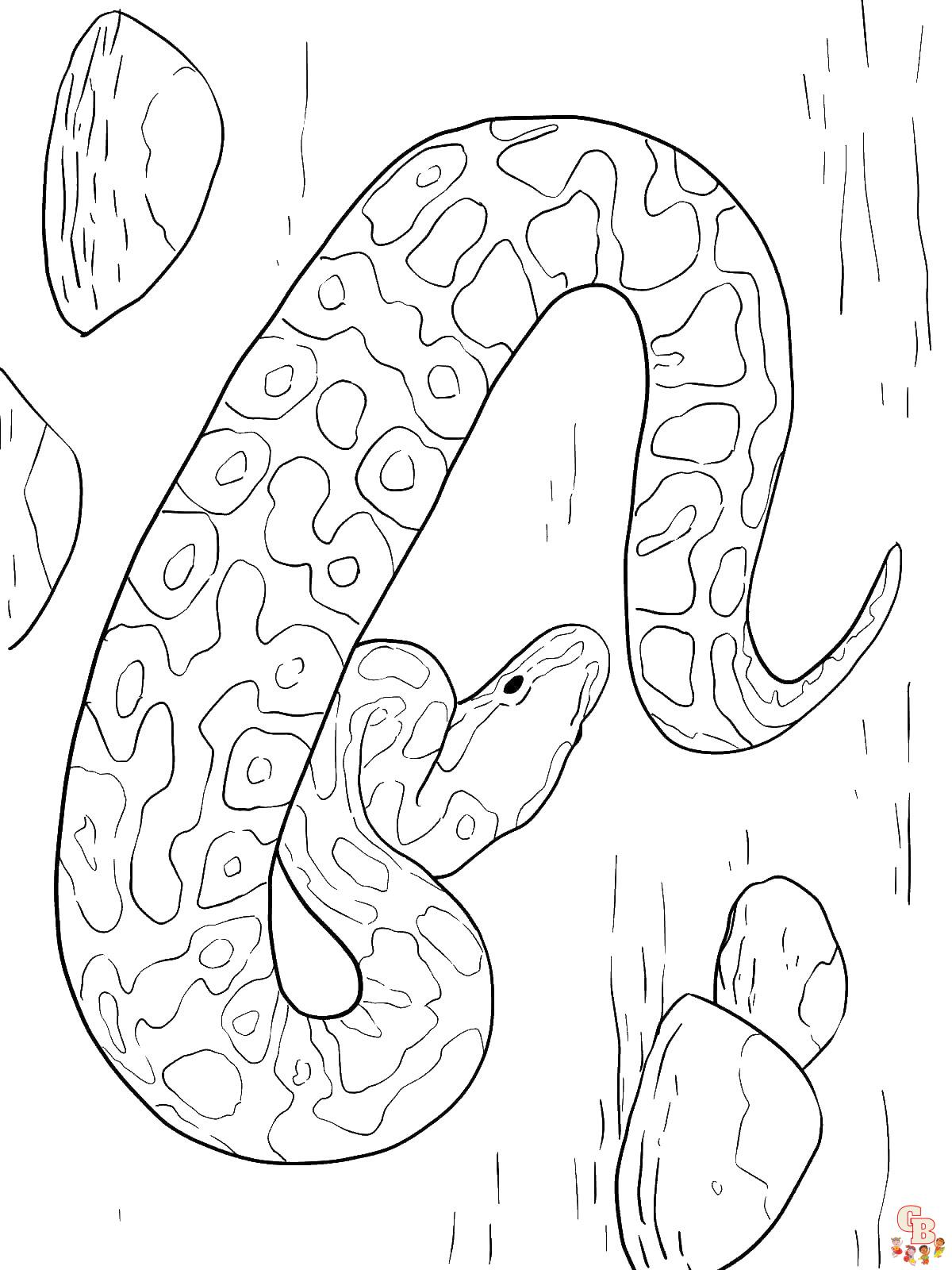 32 Anaconda Coloring Pages Printable 1