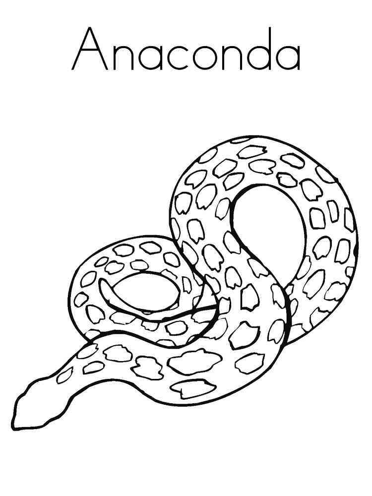 32 Anaconda Coloring Pages Printable 10