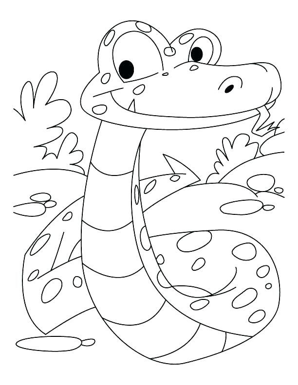 32 Anaconda Coloring Pages Printable 12