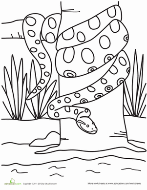 32 Anaconda Coloring Pages Printable 17