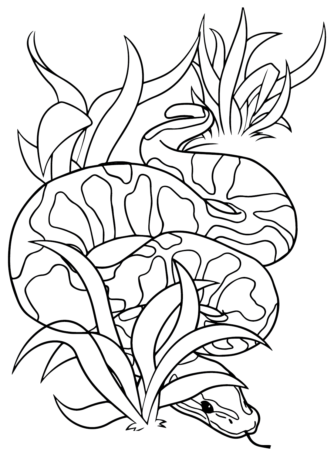 32 Anaconda Coloring Pages Printable 22