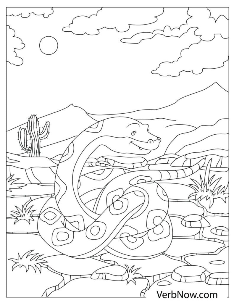 32 Anaconda Coloring Pages Printable 23