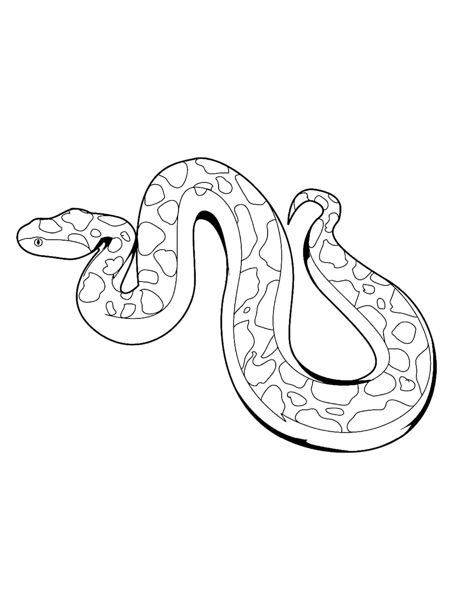 32 Anaconda Coloring Pages Printable 27