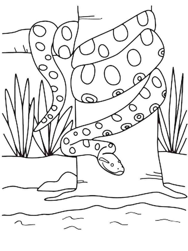 32 Anaconda Coloring Pages Printable 28