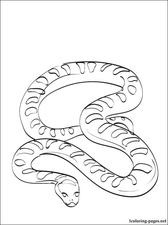 32 Anaconda Coloring Pages Printable 29