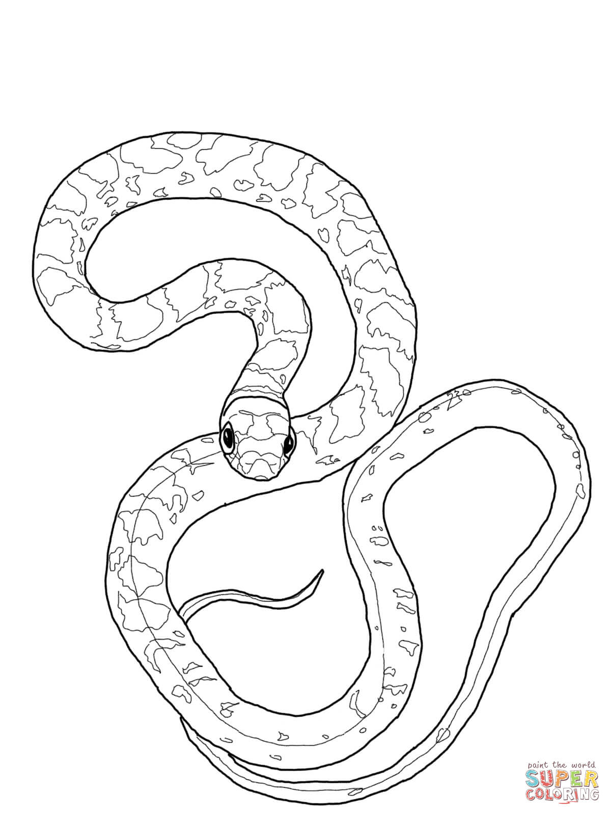 32 Anaconda Coloring Pages Printable 3