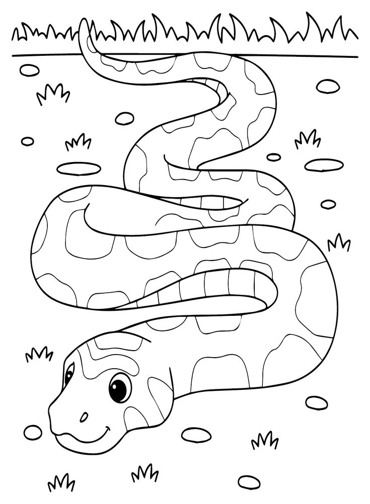 32 Anaconda Coloring Pages Printable 30