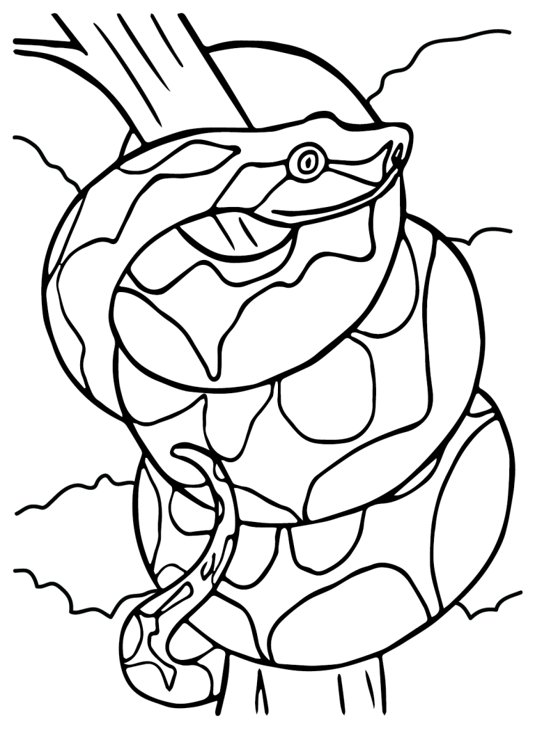 32 Anaconda Coloring Pages Printable 33