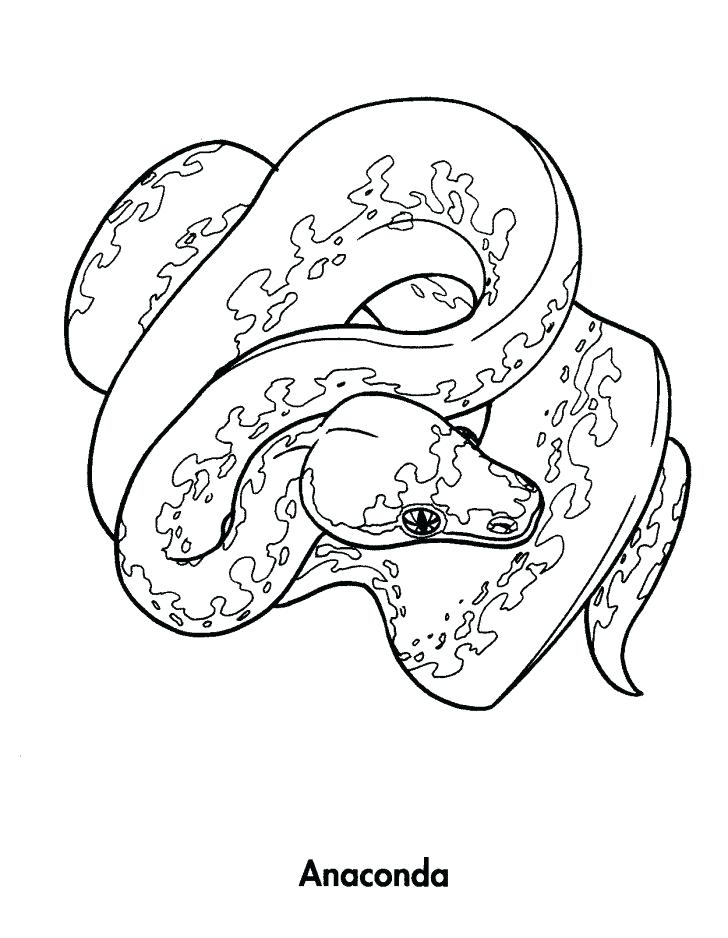 32 Anaconda Coloring Pages Printable 4