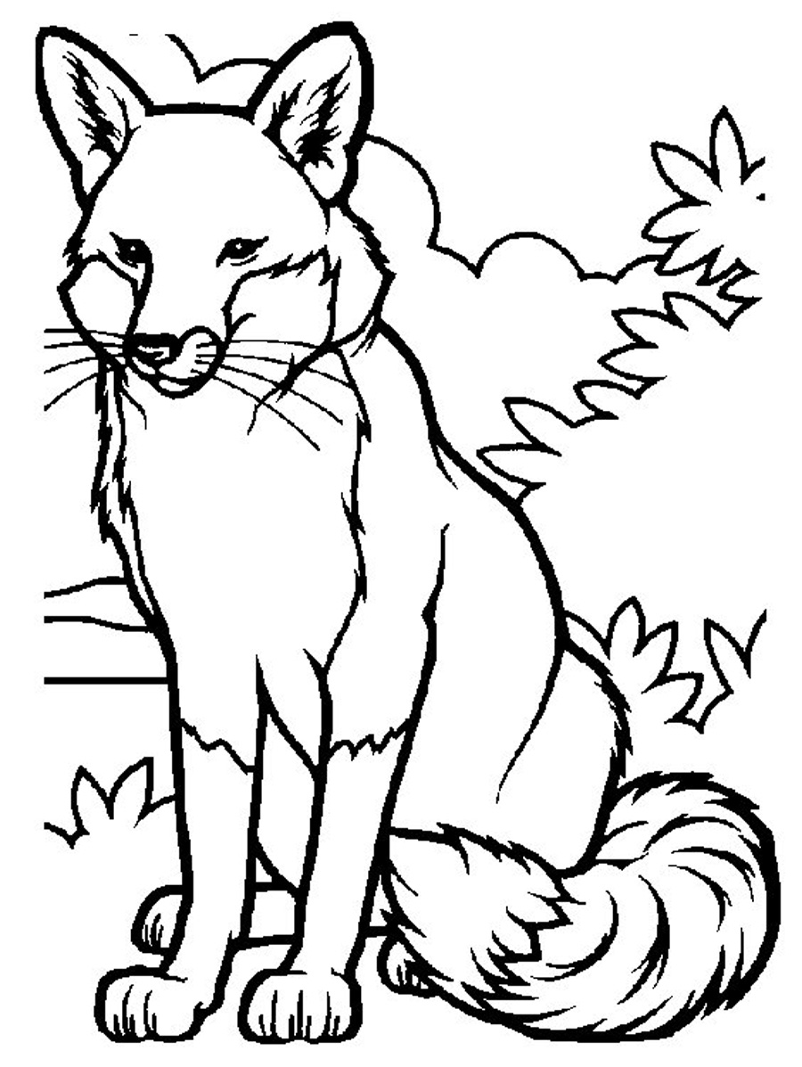 32 Fox Animal Coloring Pages Printable 1