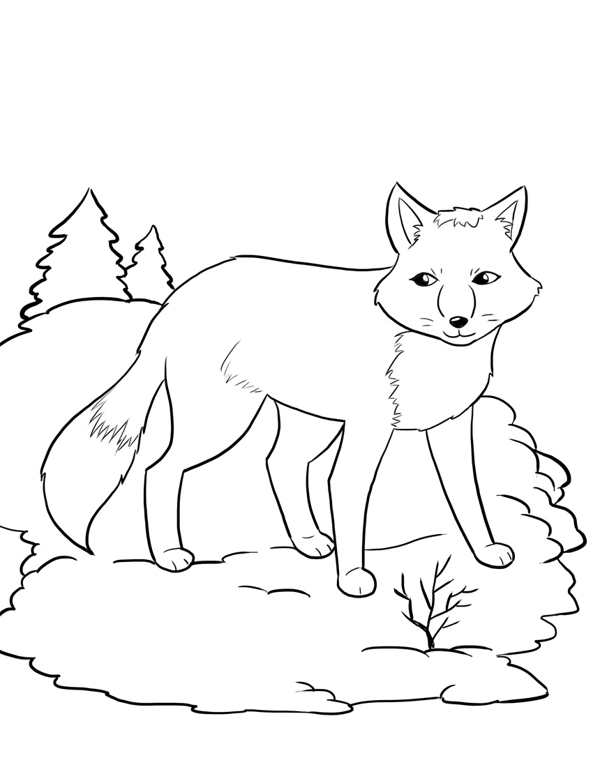 32 Fox Animal Coloring Pages Printable 30