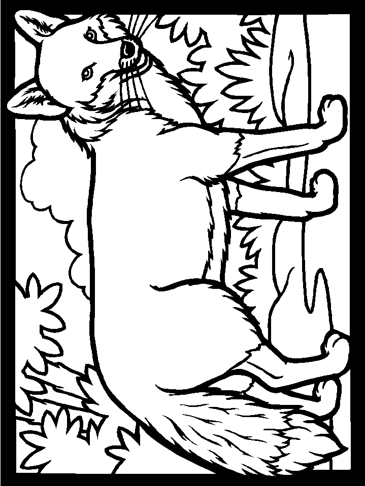 32 Fox Animal Coloring Pages Printable 33