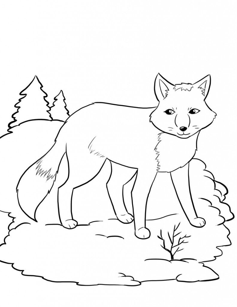 32 Fox Animal Coloring Pages Printable 4