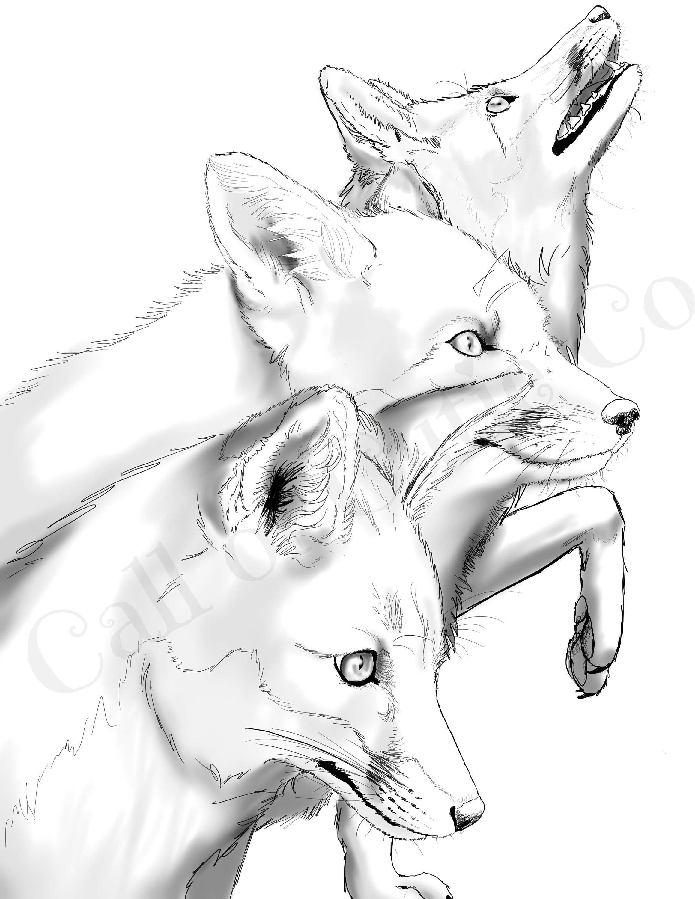 32 Fox Animal Coloring Pages Printable 5