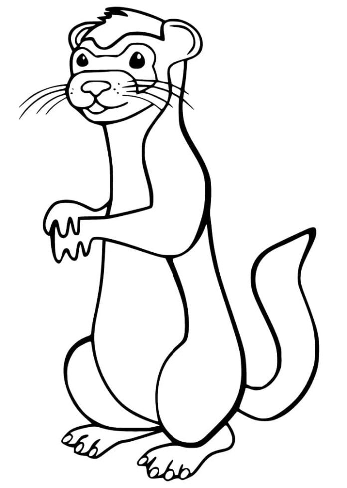 32 Playful Ferrets Coloring Pages Printable 11