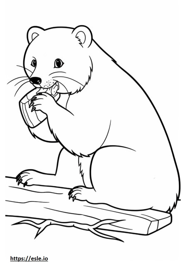 32 Playful Ferrets Coloring Pages Printable 19