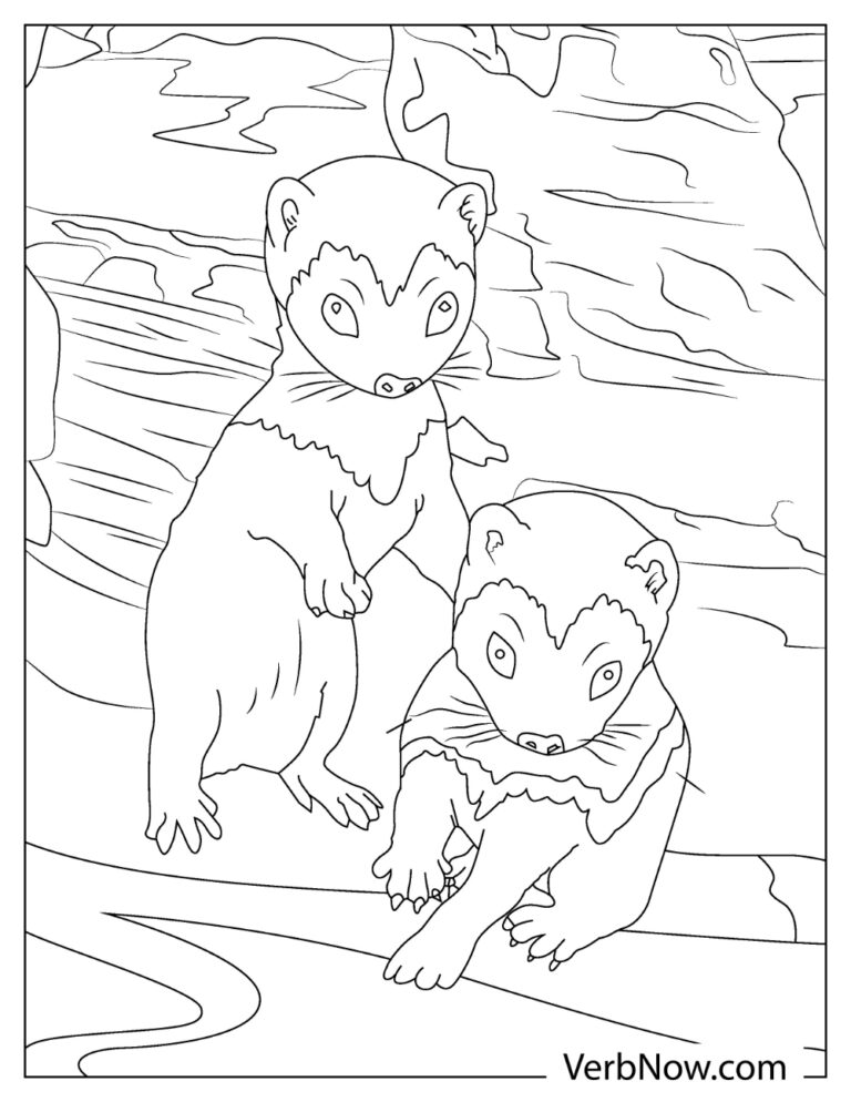 32 Playful Ferrets Coloring Pages Printable 2