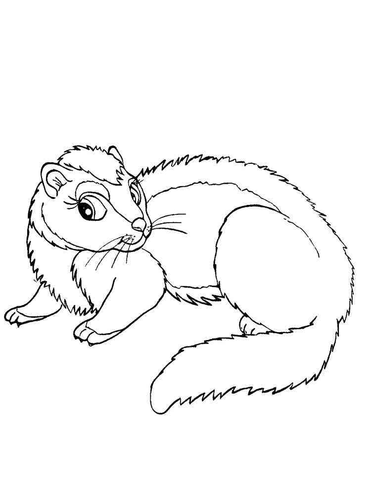 32 Playful Ferrets Coloring Pages Printable 26