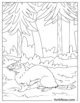 32 Playful Ferrets Coloring Pages Printable 33