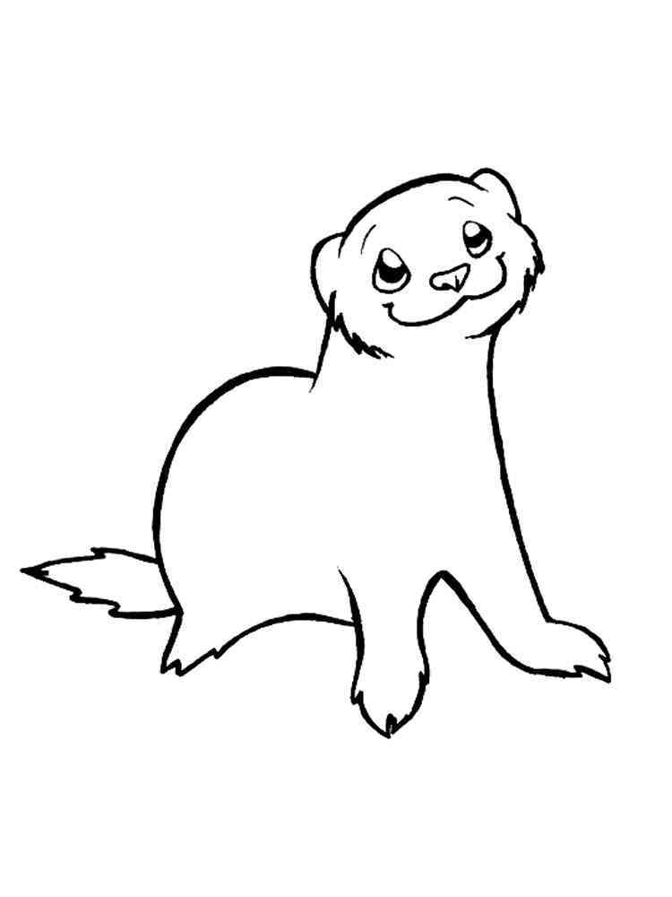 32 Playful Ferrets Coloring Pages Printable 34