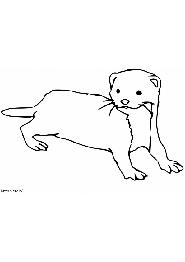 32 Playful Ferrets Coloring Pages Printable 5