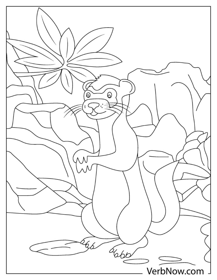 32 Playful Ferrets Coloring Pages Printable 9