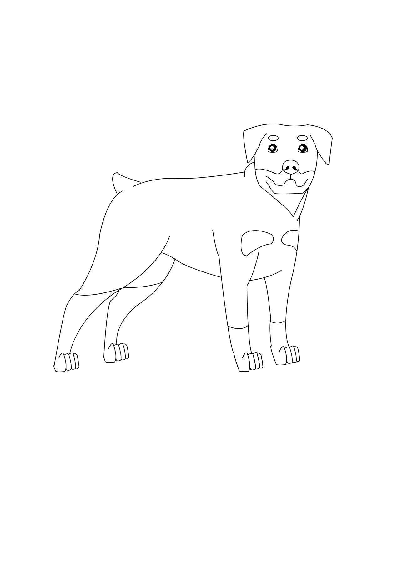 32 Rottweiler Coloring Pages Printable 14