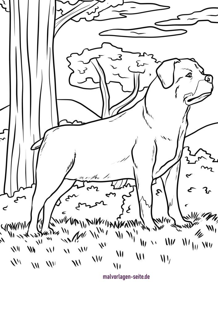 32 Rottweiler Coloring Pages Printable 15