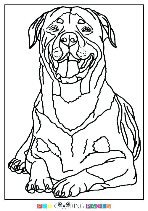 32 Rottweiler Coloring Pages Printable 16