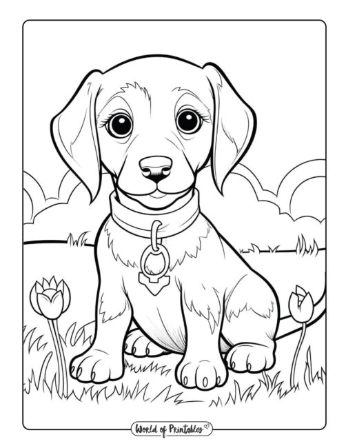 32 Rottweiler Coloring Pages Printable 18