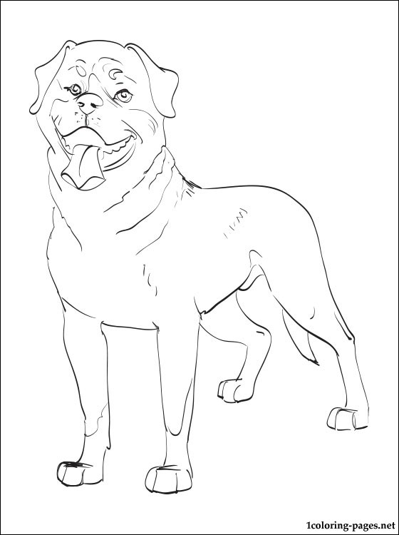 32 Rottweiler Coloring Pages Printable 2