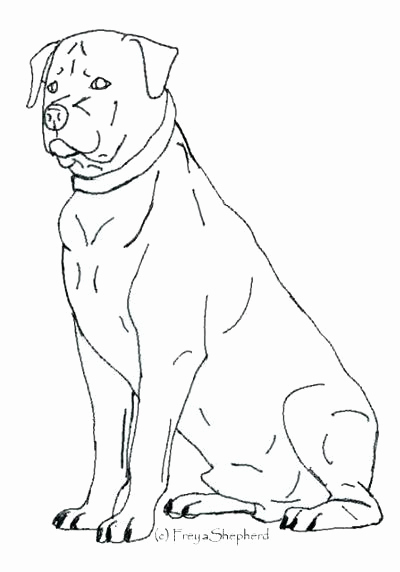 32 Rottweiler Coloring Pages Printable 20