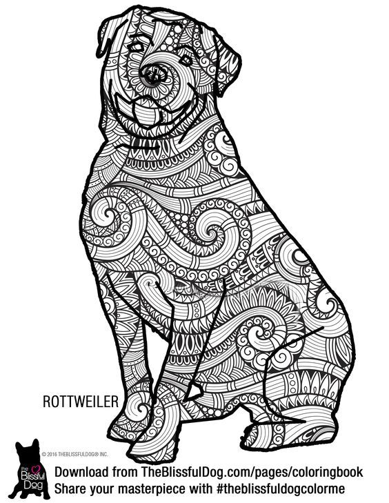 32 Rottweiler Coloring Pages Printable 25