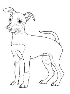 32 Rottweiler Coloring Pages Printable 26