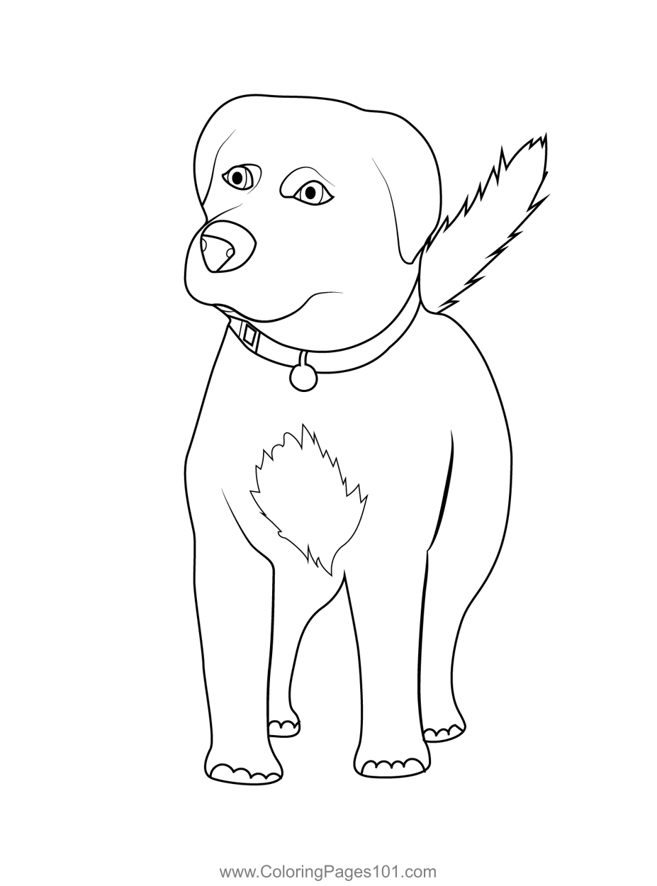 32 Rottweiler Coloring Pages Printable 29