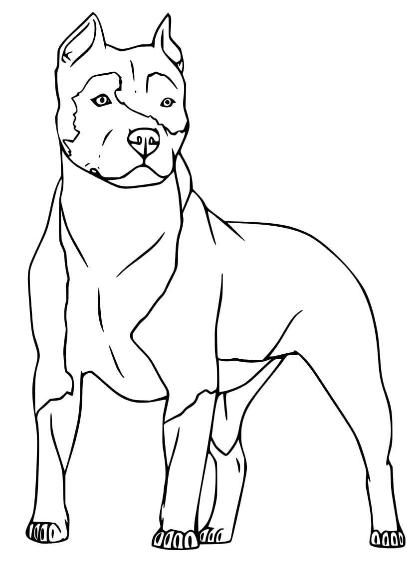 32 Rottweiler Coloring Pages Printable 30