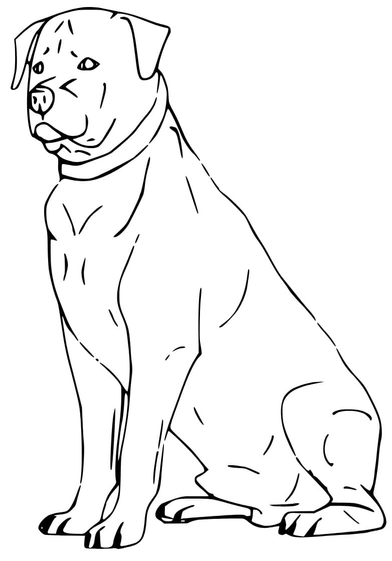 32 Rottweiler Coloring Pages Printable 32