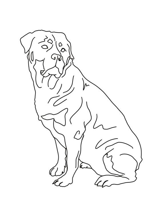 32 Rottweiler Coloring Pages Printable 33