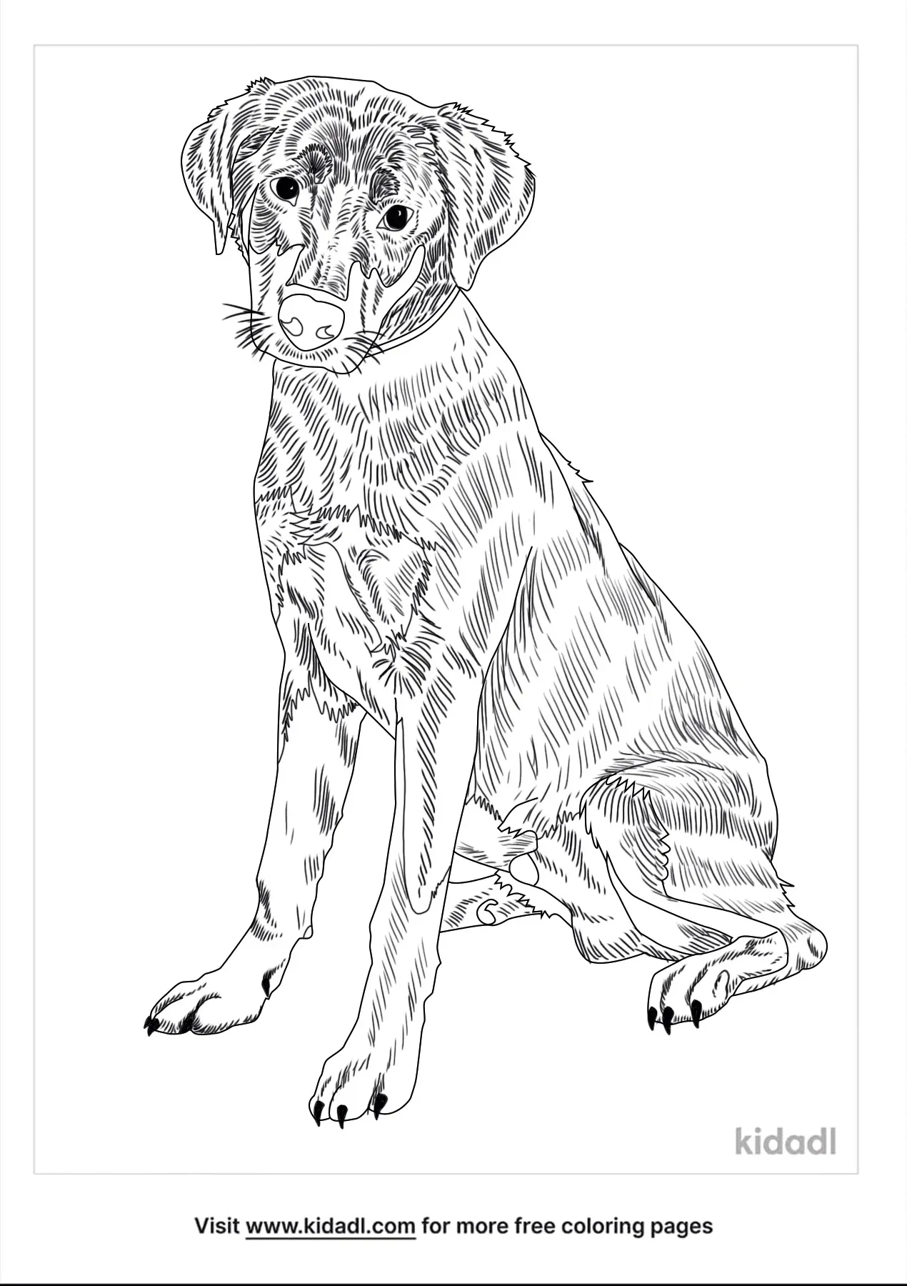 32 Rottweiler Coloring Pages Printable 34