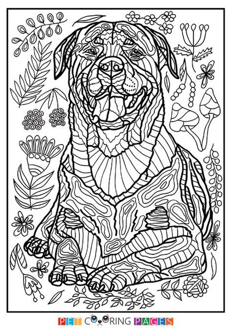 32 Rottweiler Coloring Pages Printable 7