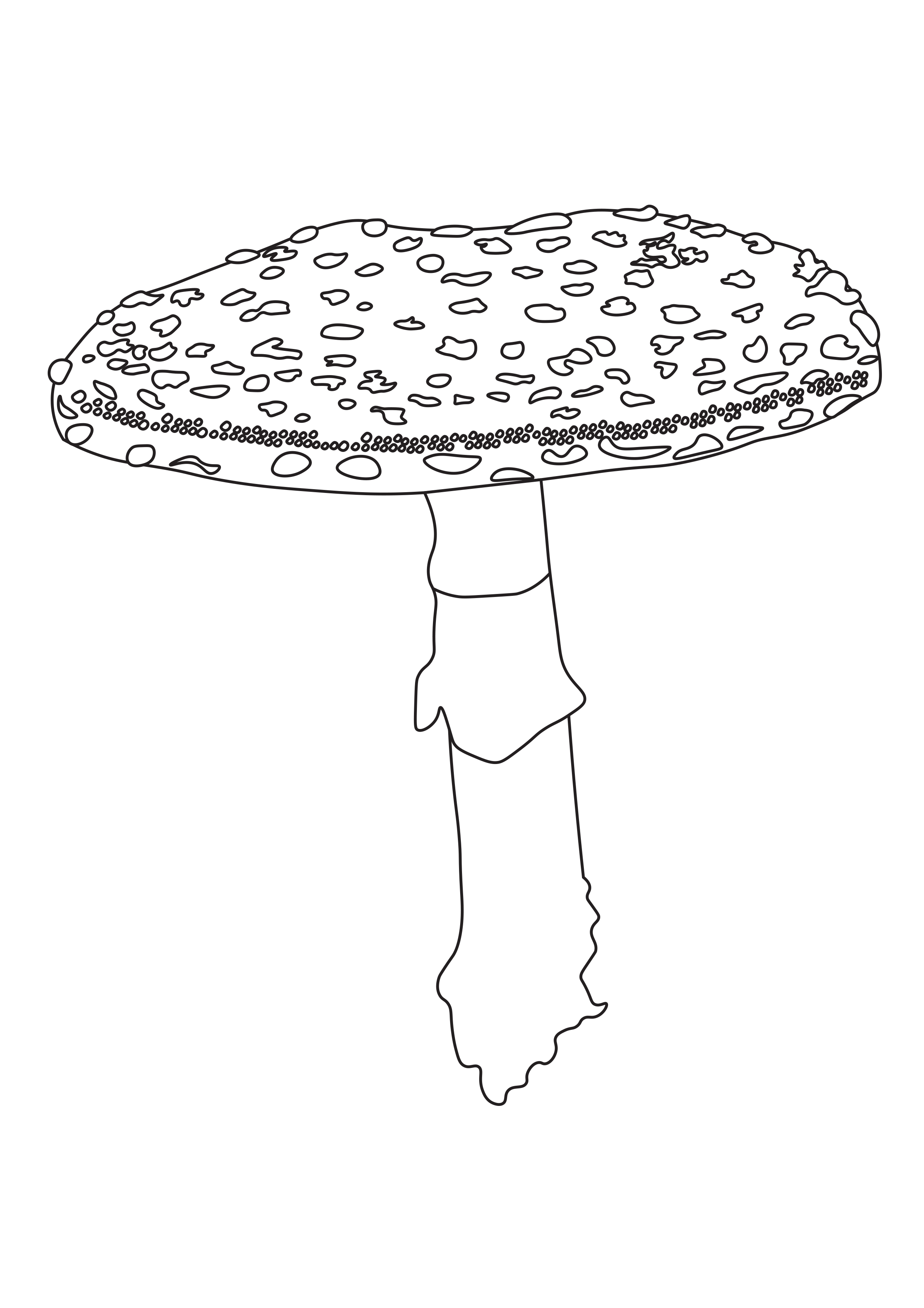 34 Fun Mushrooms Coloring Pages Printable 10