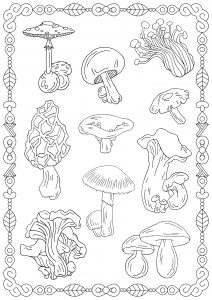 34 Fun Mushrooms Coloring Pages Printable 12