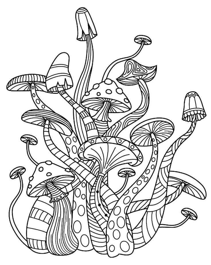 34 Fun Mushrooms Coloring Pages Printable 2